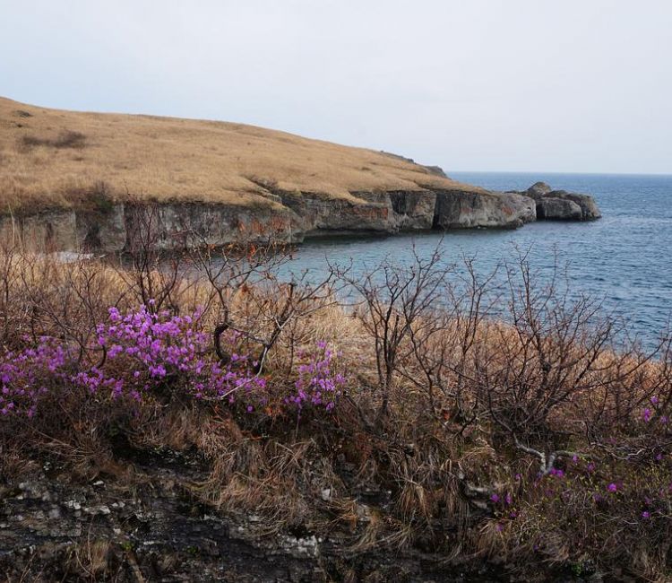 Полуостров  Брюса  и Теплое море